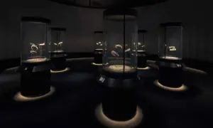 Exhibición de joyas de Cartier, un recorrido por su **historia** y diseño en vitrinas iluminadas.